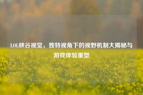 LOL峡谷视觉，独特视角下的视野机制大揭秘与游戏体验重塑