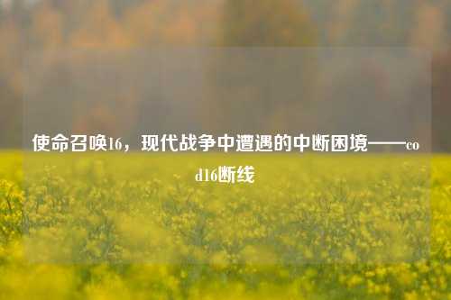 使命召唤16，现代战争中遭遇的中断困境——cod16断线