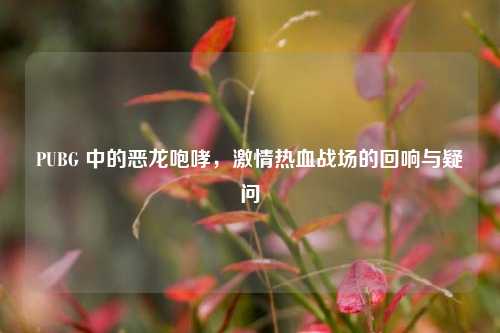 PUBG 中的恶龙咆哮，激情热血战场的回响与疑问