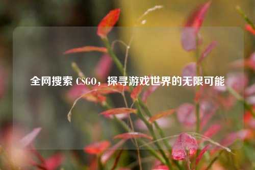 全网搜索 CSGO，探寻游戏世界的无限可能
