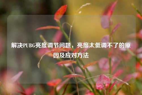 解决PUBG亮度调节问题，亮度太低调不了的原因及应对方法