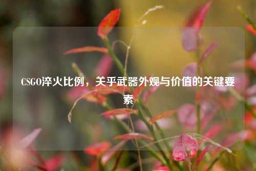 CSGO淬火比例，关乎武器外观与价值的关键要素
