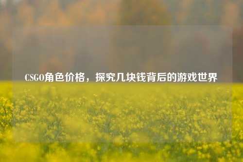 CSGO角色价格，探究几块钱背后的游戏世界