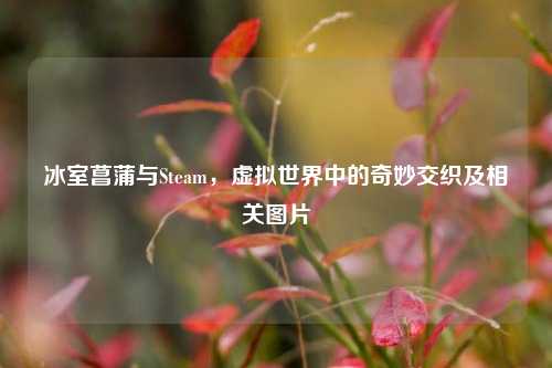 冰室菖蒲与Steam，虚拟世界中的奇妙交织及相关图片