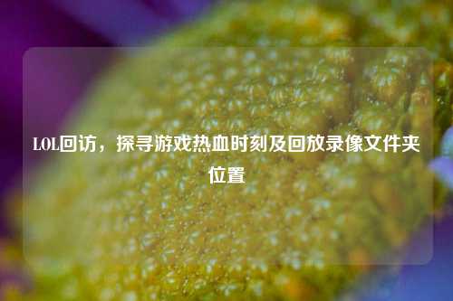 LOL回访，探寻游戏热血时刻及回放录像文件夹位置