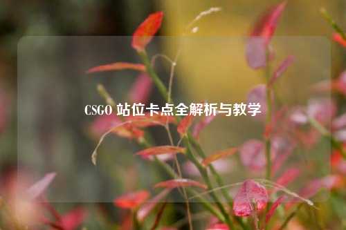 CSGO 站位卡点全解析与教学