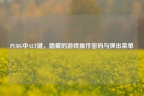 PUBG中ALT键，隐藏的游戏操作密码与弹出菜单