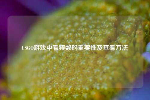 CSGO游戏中看频数的重要性及查看方法