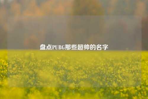 盘点PUBG那些超帅的名字