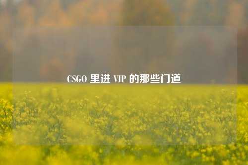 CSGO 里进 VIP 的那些门道