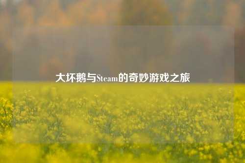 大坏鹅与Steam的奇妙游戏之旅