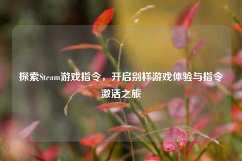 探索Steam游戏指令，开启别样游戏体验与指令激活之旅