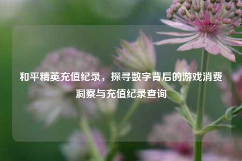 和平精英充值纪录，探寻数字背后的游戏消费洞察与充值纪录查询