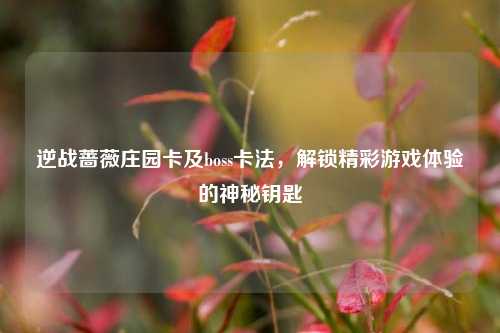 逆战蔷薇庄园卡及boss卡法，解锁精彩游戏体验的神秘钥匙