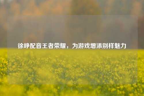 徐峥配音王者荣耀，为游戏增添别样魅力