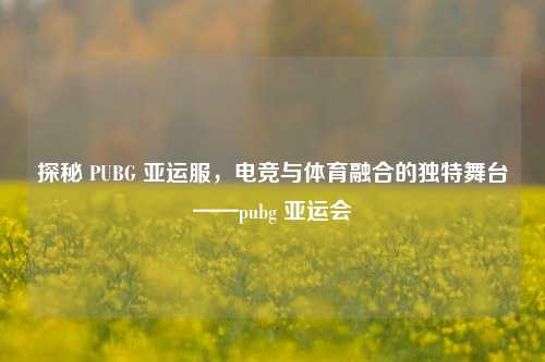 探秘 PUBG 亚运服，电竞与体育融合的独特舞台——pubg 亚运会