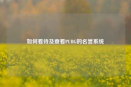 如何看待及查看PUBG的名誉系统