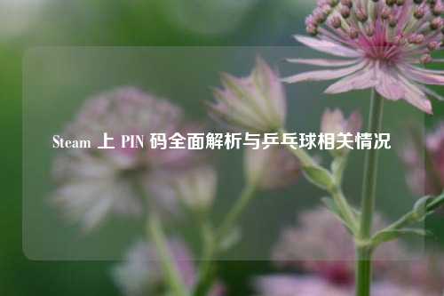Steam 上 PIN 码全面解析与乒乓球相关情况