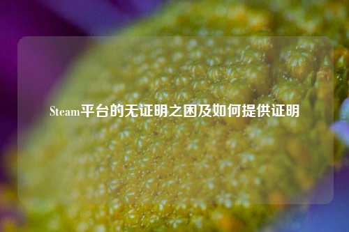 Steam平台的无证明之困及如何提供证明