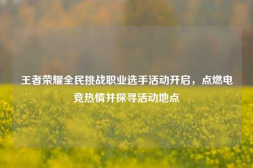 王者荣耀全民挑战职业选手活动开启，点燃电竞热情并探寻活动地点