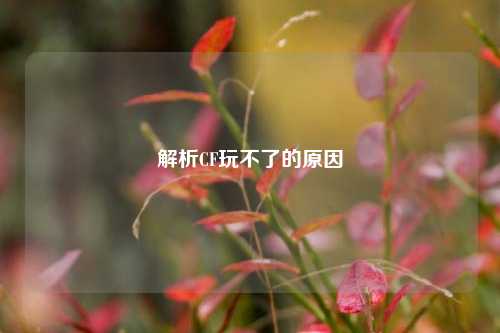 解析CF玩不了的原因