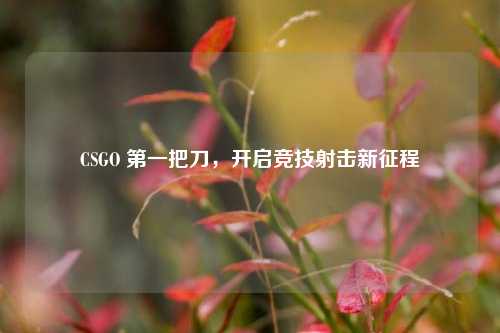 CSGO 第一把刀，开启竞技射击新征程