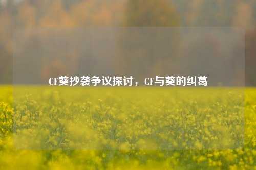 CF葵抄袭争议探讨，CF与葵的纠葛