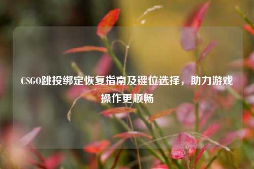 CSGO跳投绑定恢复指南及键位选择，助力游戏操作更顺畅
