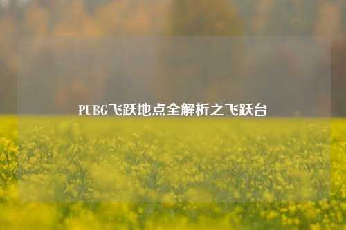 PUBG飞跃地点全解析之飞跃台