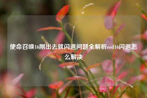 使命召唤16刚出去就闪退问题全解析cod16闪退怎么解决