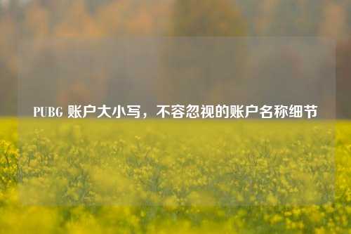 PUBG 账户大小写，不容忽视的账户名称细节