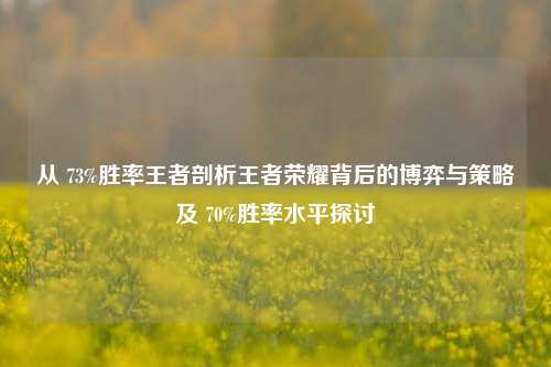 从 73%胜率王者剖析王者荣耀背后的博弈与策略及 70%胜率水平探讨