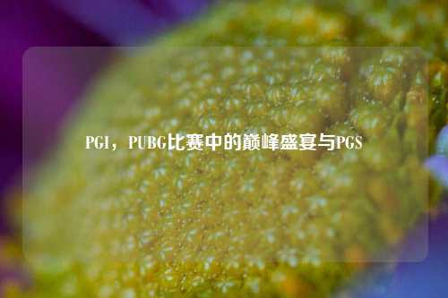 PGI，PUBG比赛中的巅峰盛宴与PGS