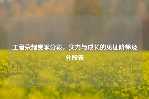 王者荣耀赛季分段，实力与成长的见证阶梯及分段表