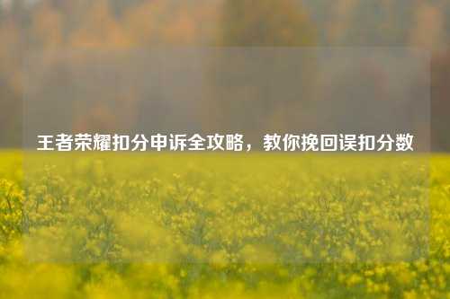 王者荣耀扣分申诉全攻略，教你挽回误扣分数