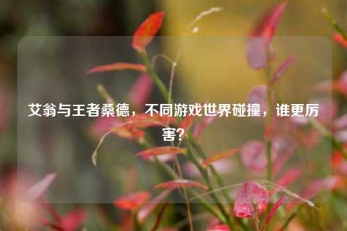 艾翁与王者桑德，不同游戏世界碰撞，谁更厉害？