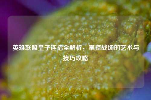 英雄联盟皇子连招全解析，掌控战场的艺术与技巧攻略
