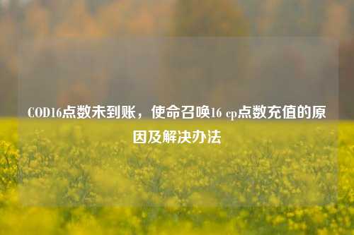 COD16点数未到账，使命召唤16 cp点数充值的原因及解决办法