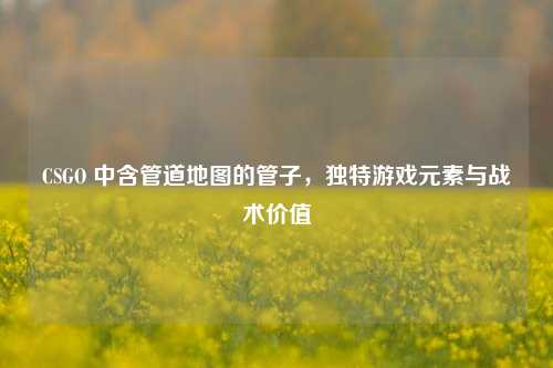CSGO 中含管道地图的管子，独特游戏元素与战术价值