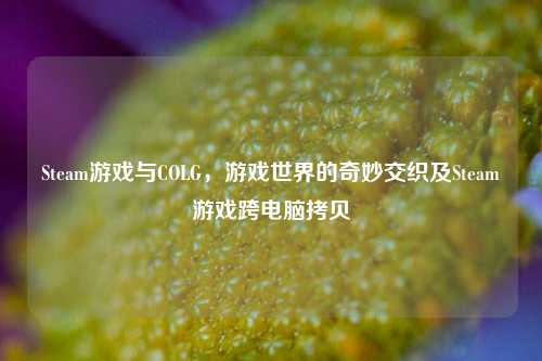 Steam游戏与COLG，游戏世界的奇妙交织及Steam游戏跨电脑拷贝