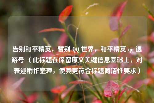 告别和平精英，暂别 QQ 世界，和平精英 qq 退游号 （此标题在保留原文关键信息基础上，对表述稍作整理，使其更符合标题简洁性要求）