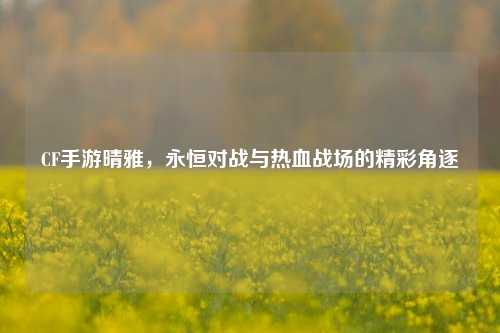 CF手游晴雅，永恒对战与热血战场的精彩角逐