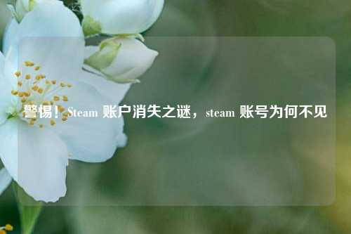 警惕！Steam 账户消失之谜，steam 账号为何不见