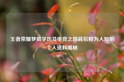 王者荣耀梦岚学历及电竞之路背后鲜为人知的个人资料揭秘
