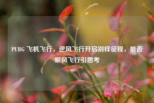 PUBG 飞机飞行，逆风飞行开启别样征程，能否顺风飞行引思考