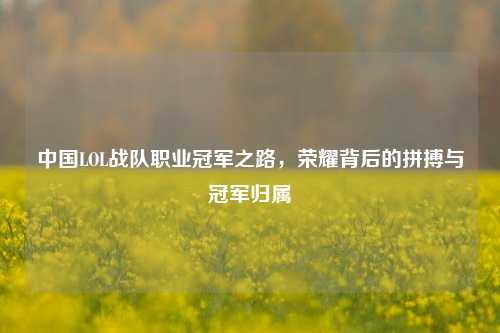 中国LOL战队职业冠军之路，荣耀背后的拼搏与冠军归属