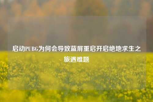 启动PUBG为何会导致蓝屏重启开启绝地求生之旅遇难题
