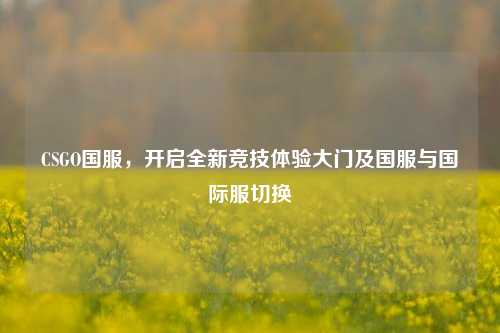 CSGO国服，开启全新竞技体验大门及国服与国际服切换