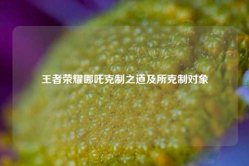 王者荣耀哪吒克制之道及所克制对象