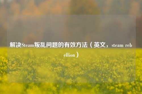 解决Steam叛乱问题的有效方法（英文，steam rebellion）